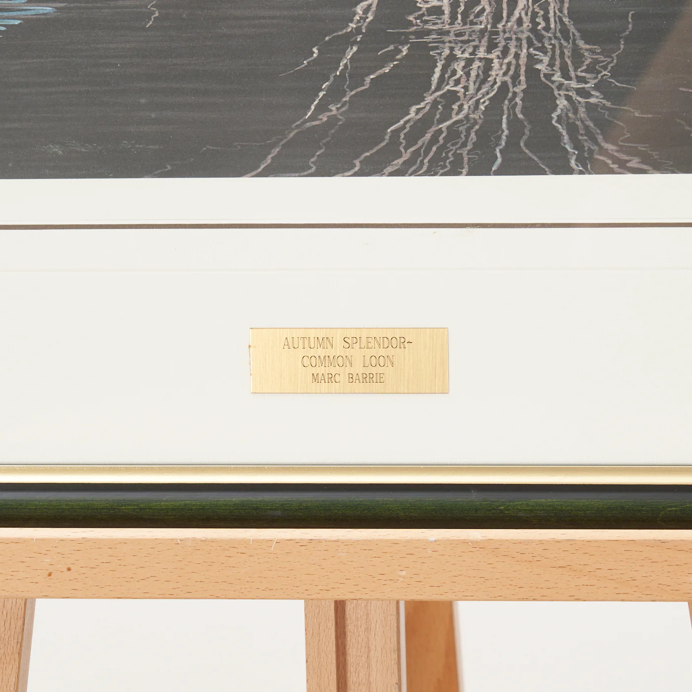 Signed Print of 'Autumn Splendour - Common Loon' by Marc Barrie - Image 5